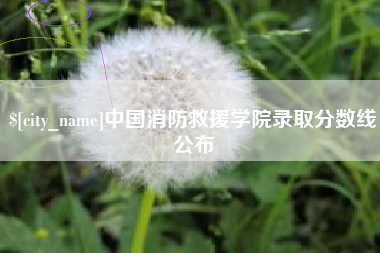 吉林中国消防救援学院录取分数线公布