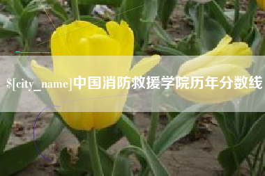吉林中国消防救援学院历年分数线