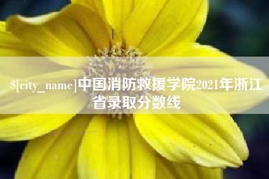 吉林中国消防救援学院2021年浙江省录取分数线