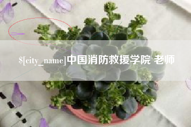 吉林中国消防救援学院 老师