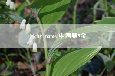 吉林中国第9金