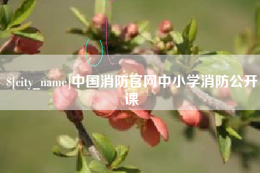 吉林中国消防官网中小学消防公开课