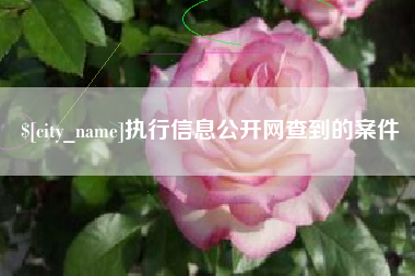 吉林执行信息公开网查到的案件
