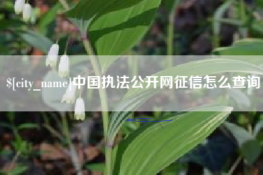 吉林中国执法公开网征信怎么查询