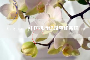 吉林中国执行记录查询系统app