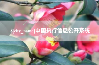 吉林中国执行信息公开系统