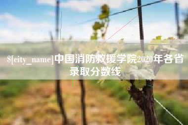吉林中国消防救援学院2020年各省录取分数线