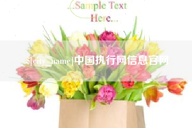 吉林中国执行网信息官网