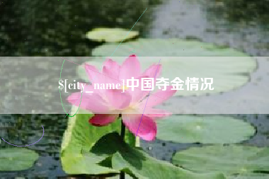 吉林中国夺金情况