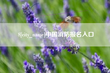 吉林中国消防报名入口