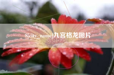 吉林九宫格龙图片