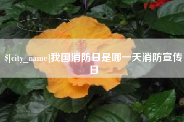 吉林我国消防日是哪一天消防宣传日