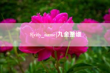 吉林九金是谁