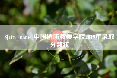 吉林中国消防救援学院2019年录取分数线