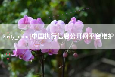 吉林中国执行信息公开网平台维护
