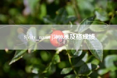吉林5000米及格成绩
