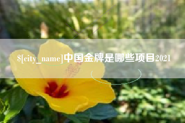 吉林中国金牌是哪些项目2021