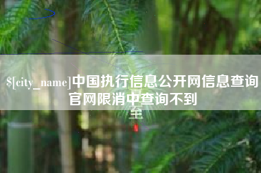 吉林中国执行信息公开网信息查询官网限消中查询不到