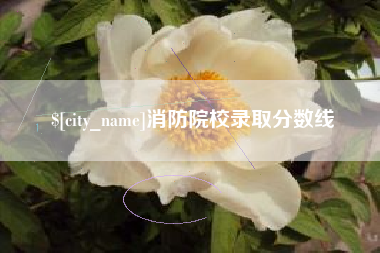 吉林消防院校录取分数线