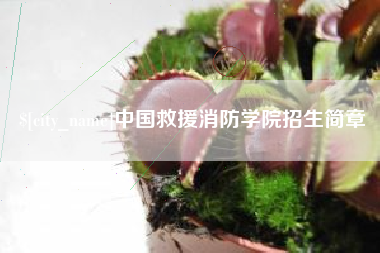 吉林中国救援消防学院招生简章