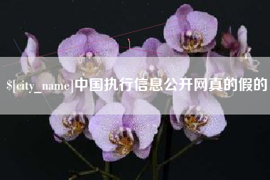 吉林中国执行信息公开网真的假的