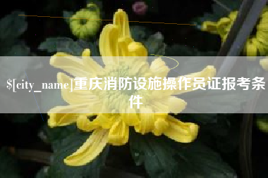 吉林重庆消防设施操作员证报考条件