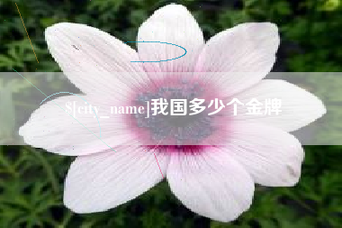 吉林我国多少个金牌