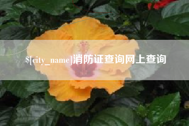 吉林消防证查询网上查询
