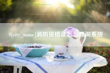 吉林消防资格证怎么查询系统