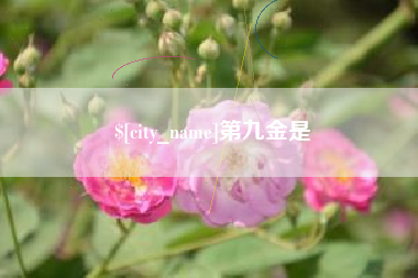 吉林第九金是