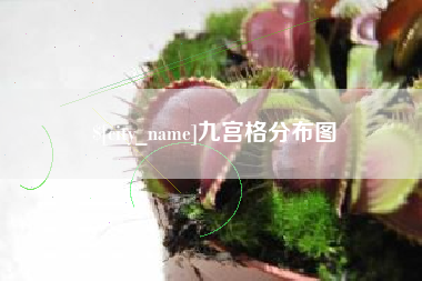 吉林九宫格分布图