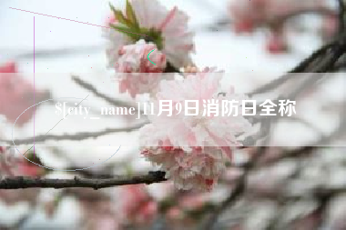 吉林11月9日消防日全称