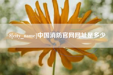 吉林中国消防官网网址是多少