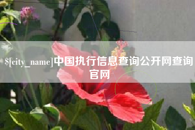 吉林中国执行信息查询公开网查询官网