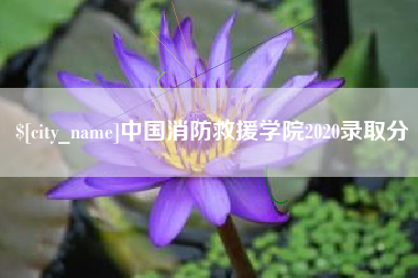 吉林中国消防救援学院2020录取分