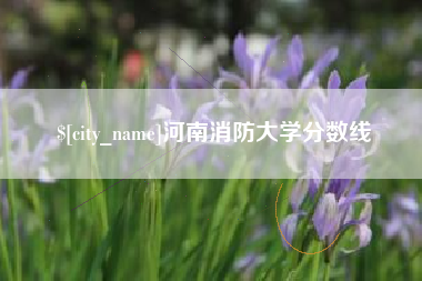吉林河南消防大学分数线