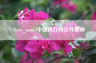 吉林中国执行网公开查询