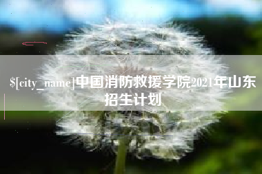 吉林中国消防救援学院2021年山东招生计划