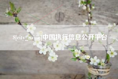 吉林中国执行信息公开平台