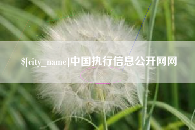 吉林中国执行信息公开网网