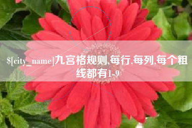 吉林九宫格规则,每行,每列,每个粗线都有1-9