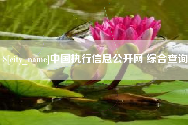 吉林中国执行信息公开网 综合查询