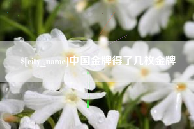 吉林中国金牌得了几枚金牌