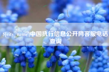 吉林中国执行信息公开网客服电话查询