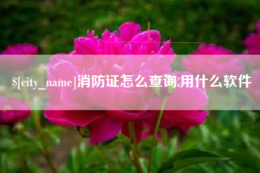 吉林消防证怎么查询,用什么软件