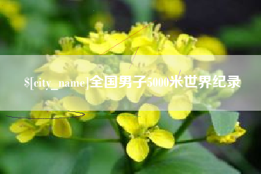 吉林全国男子5000米世界纪录