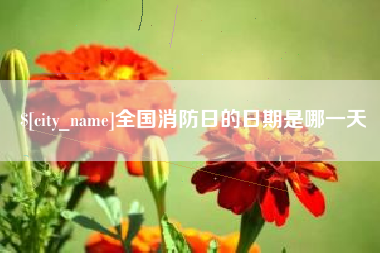 吉林全国消防日的日期是哪一天