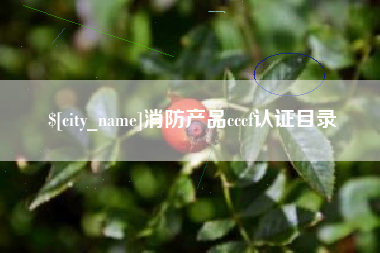 吉林消防产品cccf认证目录