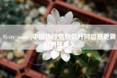 吉林中国执行信息公开网信息更新时间是多久