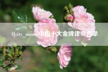 吉林中国十大金牌律师名单